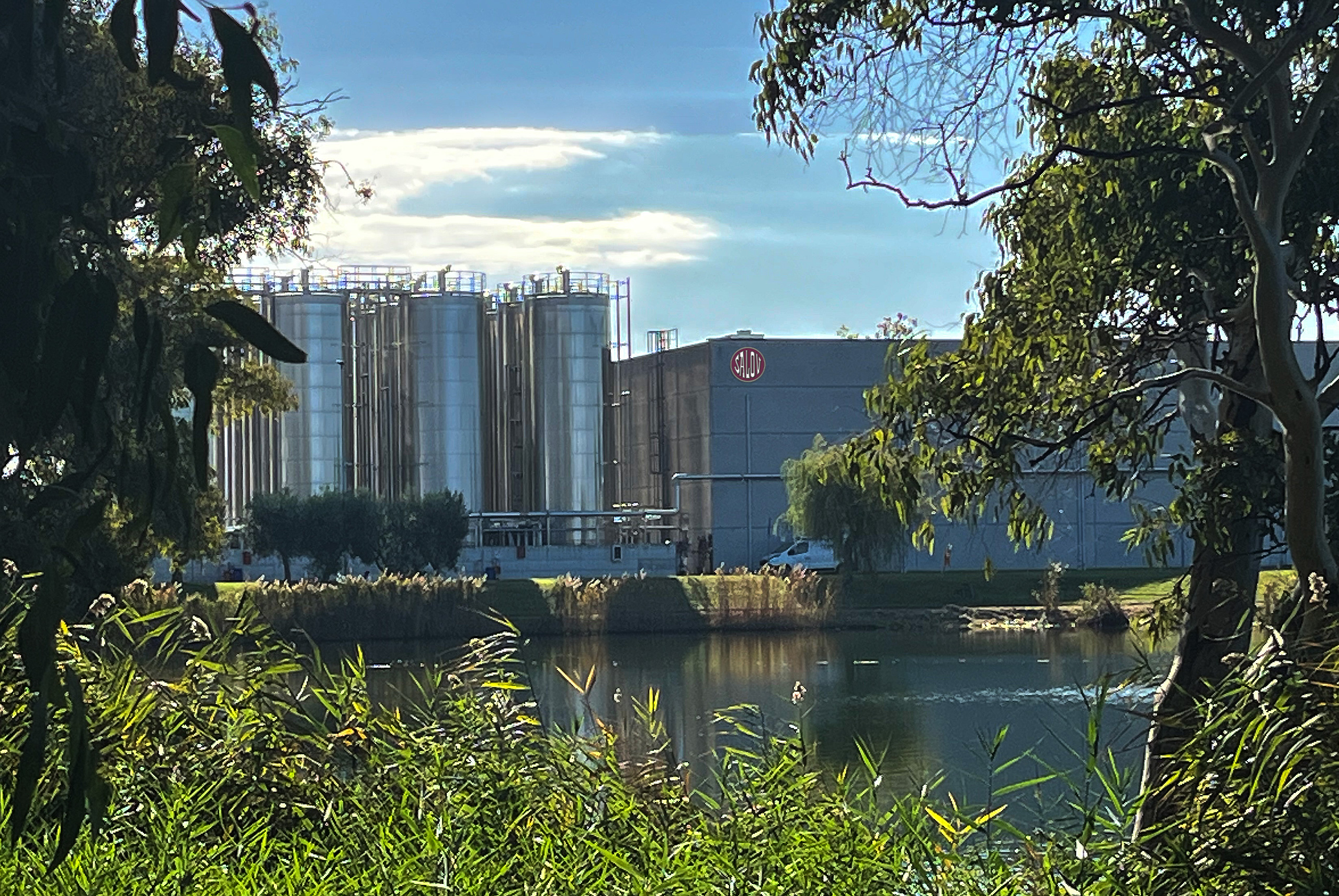 Filippo Berio at the Conference on the Future of Lake Massaciuccoli: A Concrete Commitment to the Local Territory